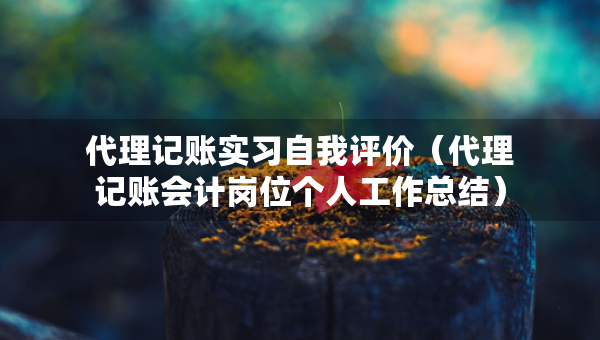 代理记账实习自我评价（代理记账会计岗位个人工作总结）