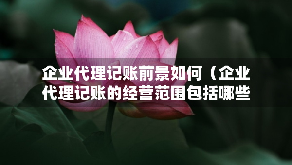 企业代理记账前景如何（企业代理记账的经营范围包括哪些）