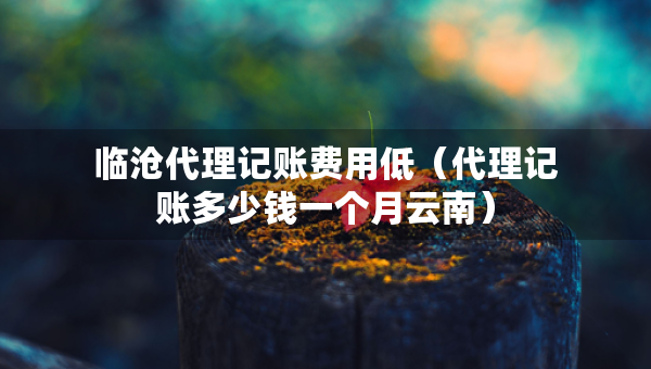 临沧代理记账费用低（代理记账多少钱一个月云南）