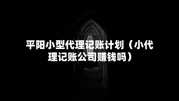 平阳小型代理记账计划（小代理记账公司赚钱吗）