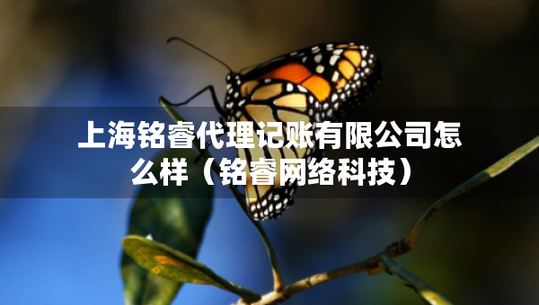 上海铭睿代理记账有限公司怎么样（铭睿网络科技）