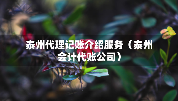 泰州代理记账介绍服务（泰州会计代账公司）