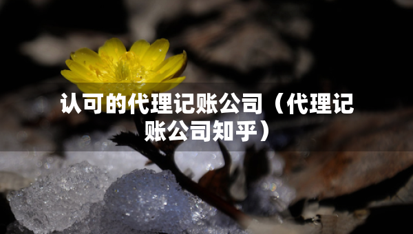 认可的代理记账公司（代理记账公司知乎）