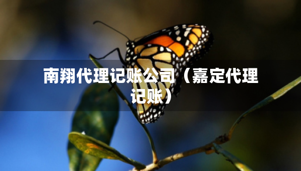 南翔代理记账公司（嘉定代理记账）