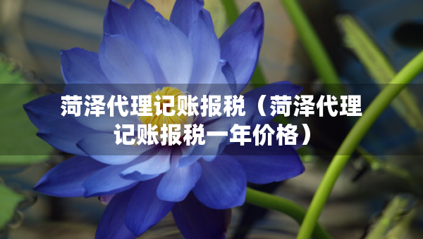 菏泽代理记账报税（菏泽代理记账报税一年价格）