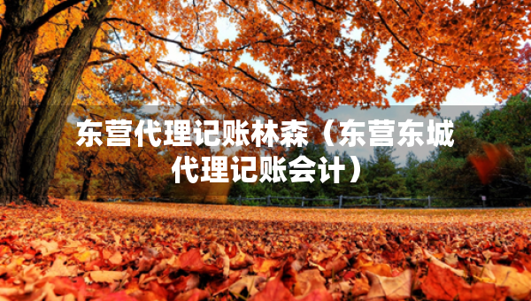 东营代理记账林森（东营东城代理记账会计）