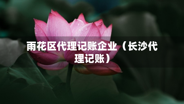 雨花区代理记账企业（长沙代理记账）