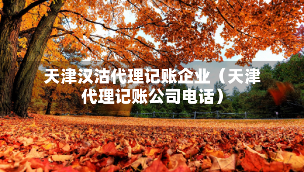 天津汉沽代理记账企业（天津代理记账公司电话）