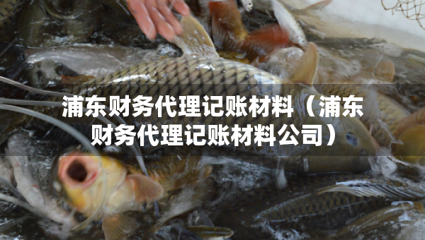 浦东财务代理记账材料（浦东财务代理记账材料公司）