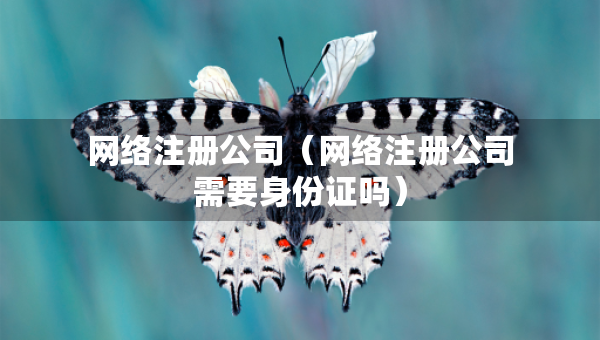 网络注册公司（网络注册公司需要身份证吗）