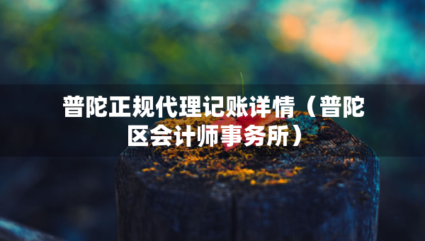 普陀正规代理记账详情（普陀区会计师事务所）