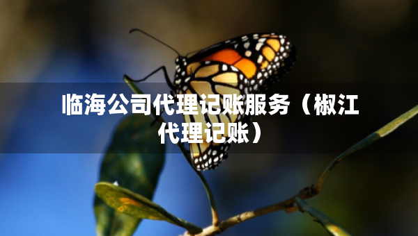 临海公司代理记账服务（椒江代理记账）