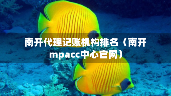 南开代理记账机构排名（南开mpacc中心官网）