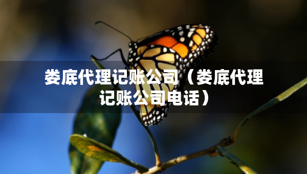 娄底代理记账公司（娄底代理记账公司电话）