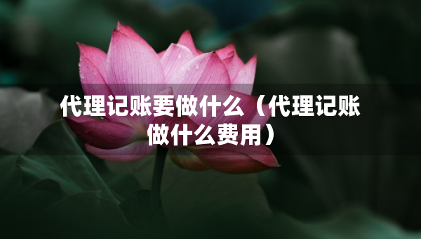 代理记账要做什么（代理记账做什么费用）