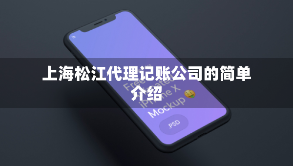 上海松江代理记账公司的简单介绍