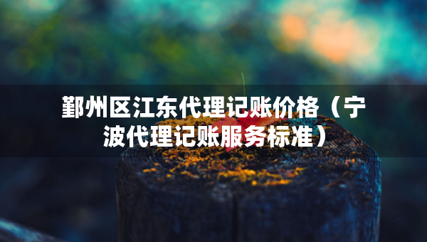 鄞州区江东代理记账价格（宁波代理记账服务标准）