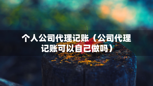 个人公司代理记账（公司代理记账可以自己做吗）