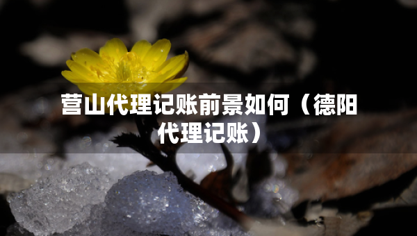 营山代理记账前景如何（德阳代理记账）