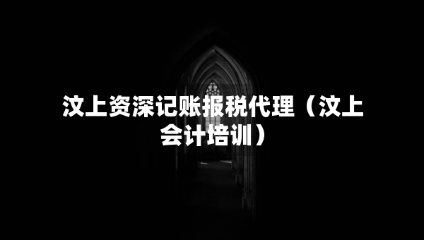 汶上资深记账报税代理（汶上会计培训）