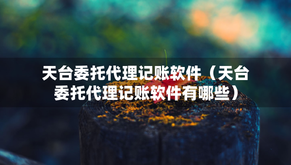 天台委托代理记账软件（天台委托代理记账软件有哪些）