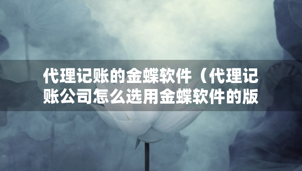 代理记账的金蝶软件（代理记账公司怎么选用金蝶软件的版本）