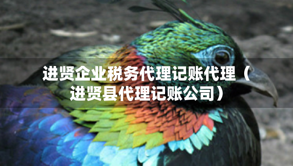 进贤企业税务代理记账代理（进贤县代理记账公司）