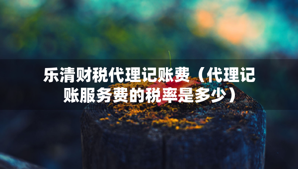 乐清财税代理记账费（代理记账服务费的税率是多少）