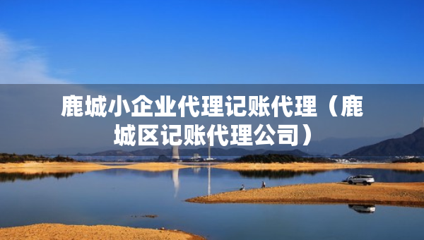 鹿城小企业代理记账代理（鹿城区记账代理公司）