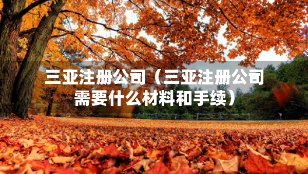 三亚注册公司（三亚注册公司需要什么材料和手续）