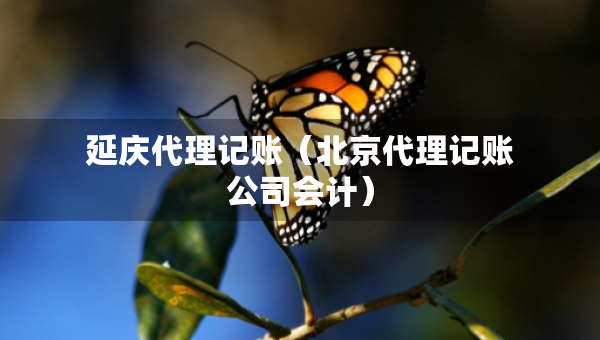 延庆代理记账（北京代理记账公司会计）