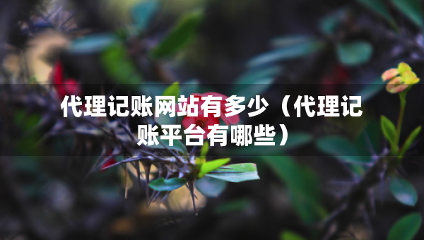 代理记账网站有多少（代理记账平台有哪些）