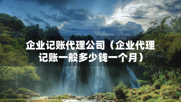 企业记账代理公司（企业代理记账一般多少钱一个月）