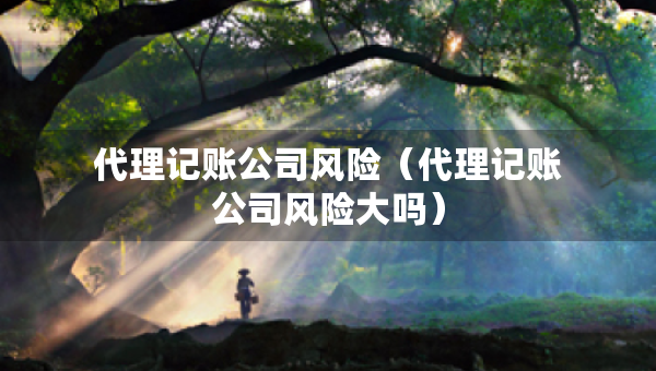 代理记账公司风险（代理记账公司风险大吗）