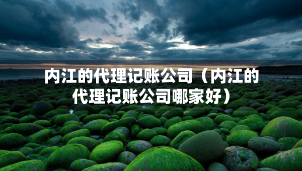 内江的代理记账公司（内江的代理记账公司哪家好）