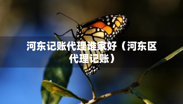 河东记账代理谁家好（河东区代理记账）