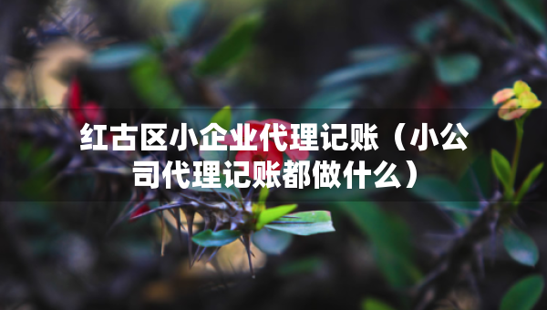 红古区小企业代理记账（小公司代理记账都做什么）