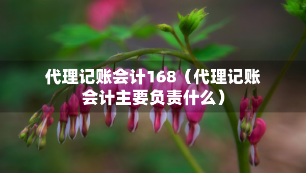 代理记账会计168（代理记账会计主要负责什么）