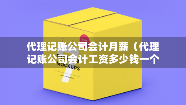 代理记账公司会计月薪（代理记账公司会计工资多少钱一个月）