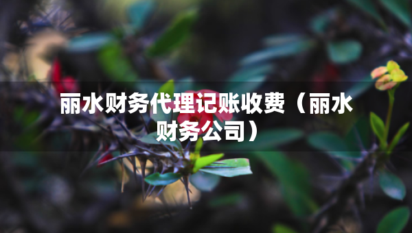 丽水财务代理记账收费（丽水财务公司）