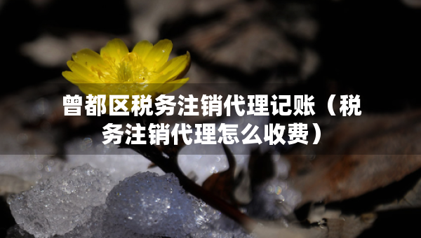 曾都区税务注销代理记账（税务注销代理怎么收费）