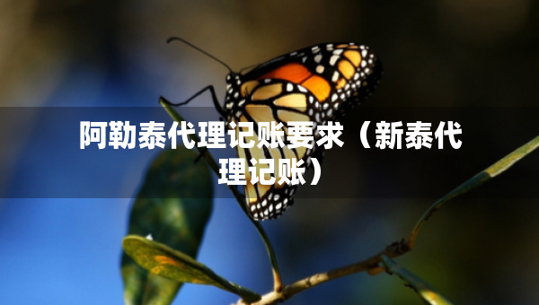 阿勒泰代理记账要求（新泰代理记账）