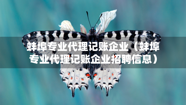 蚌埠专业代理记账企业（蚌埠专业代理记账企业招聘信息）