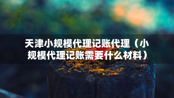 天津小规模代理记账代理（小规模代理记账需要什么材料）