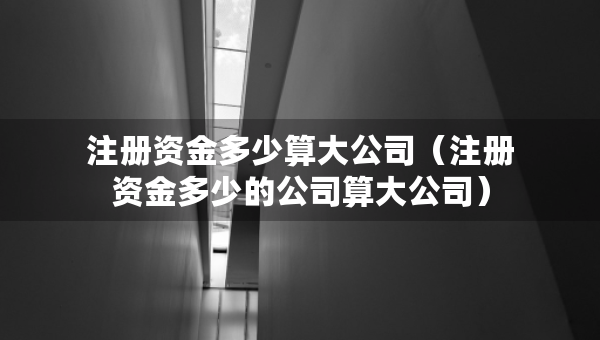 注册资金多少算大公司（注册资金多少的公司算大公司）