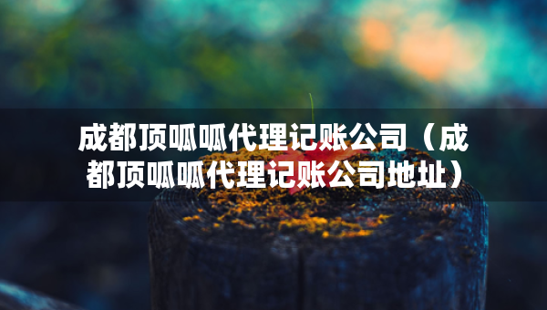 成都顶呱呱代理记账公司（成都顶呱呱代理记账公司地址）