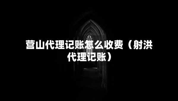 营山代理记账怎么收费（射洪代理记账）