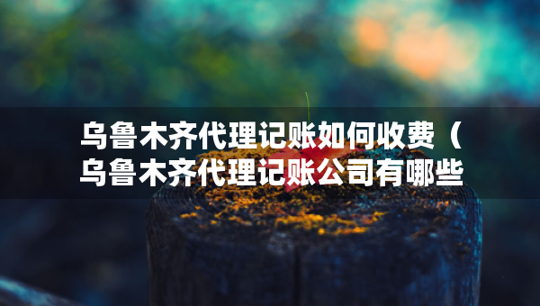 乌鲁木齐代理记账如何收费（乌鲁木齐代理记账公司有哪些）