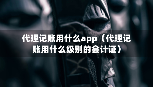 代理记账用什么app（代理记账用什么级别的会计证）