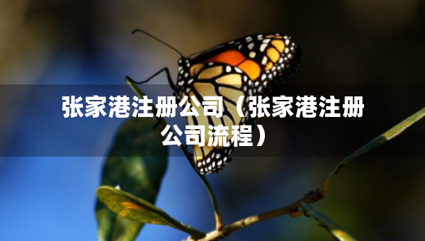 张家港注册公司（张家港注册公司流程）